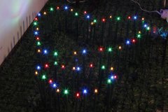 FY-50024 LED branche d'arbre petite lampe à ampoule de lumières de Noël DEL FY-50024 LED pas cher branche d'arbre petite lampe à ampoule de lumières de Noël DEL